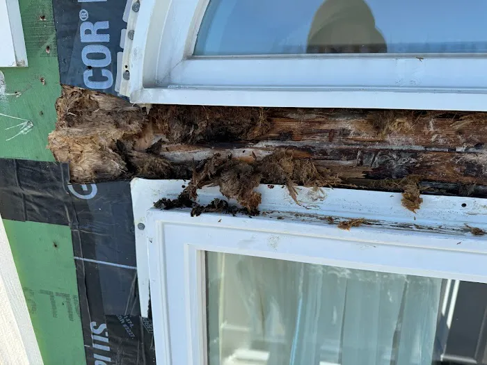 WL Pro Construction Inc Picture 4