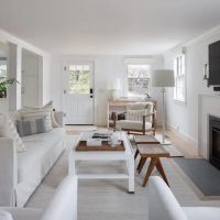 Pro Painters llc ico