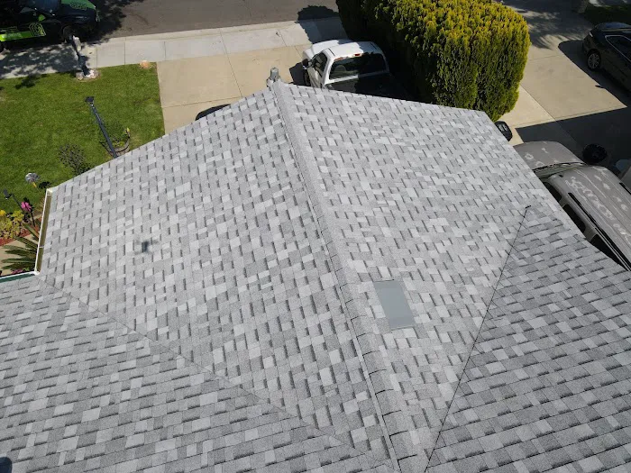 Eco Roofing Inc Picture 1