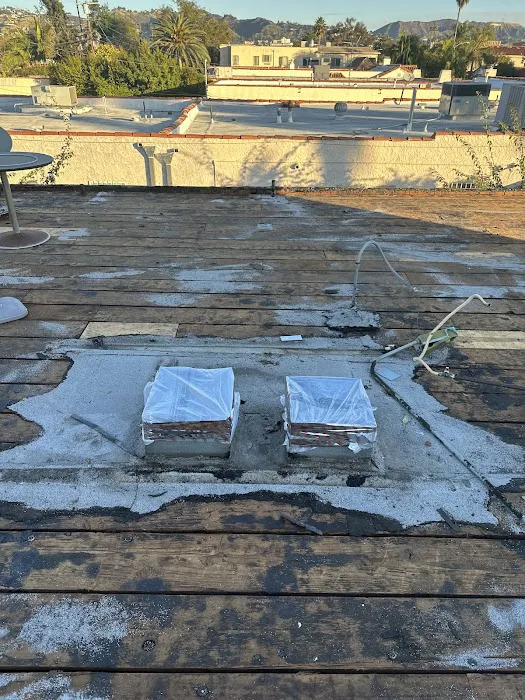 California Green Roofing Picture 1