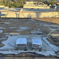California Green Roofing ico