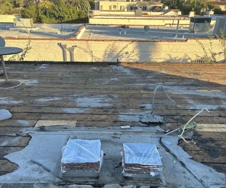 California Green Roofing