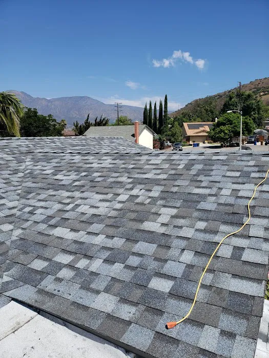 California Green Roofing Picture 7
