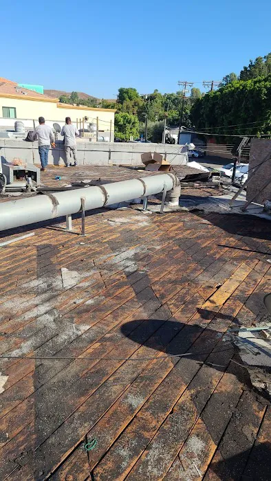 California Green Roofing Picture 6