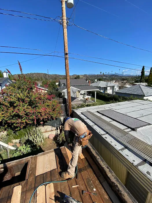 California Green Roofing Picture 8
