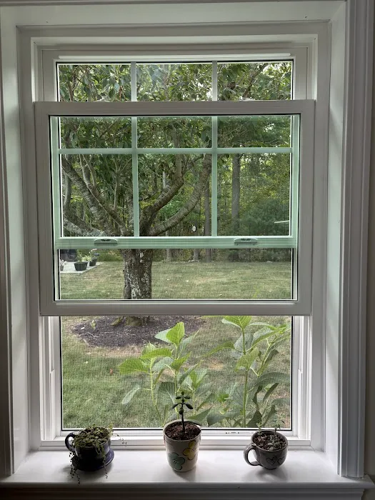 Coastal Windows & Exteriors Picture 10