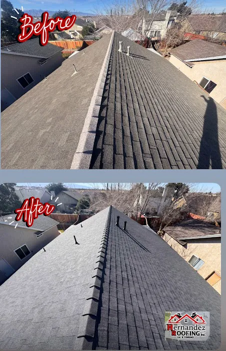 Hernandez Roofing Services Inc Picture 9