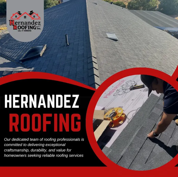 Hernandez Roofing Services Inc Picture 6