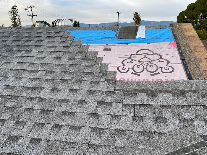Regal Roofs Picture 2