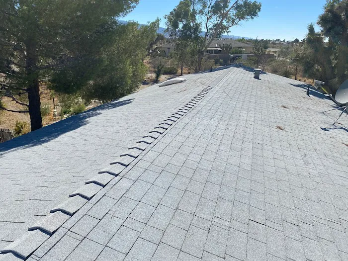 Regal Roofs Picture 6