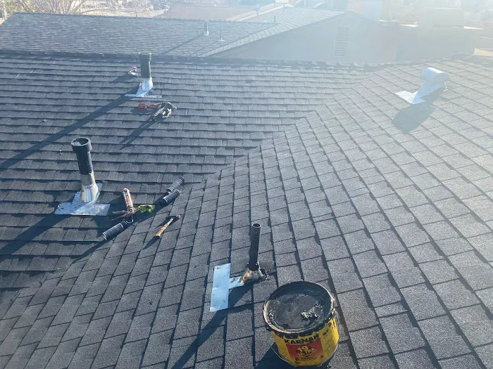 Regal Roofs Picture 10