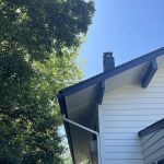 The Brothers That Just Do Gutters