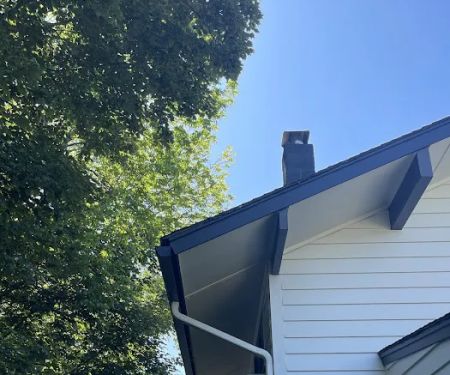 The Brothers That Just Do Gutters