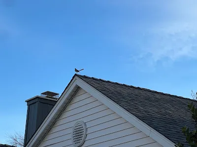 Done Right Roofing Canoga Park CA Picture 6