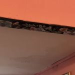 MTS Siding and Roofing LLC