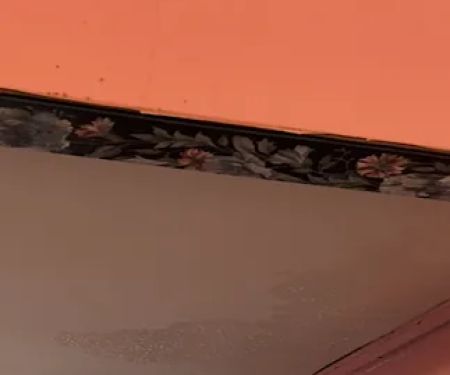 MTS Siding and Roofing LLC