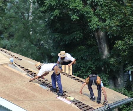 Alpine Roofing Guys