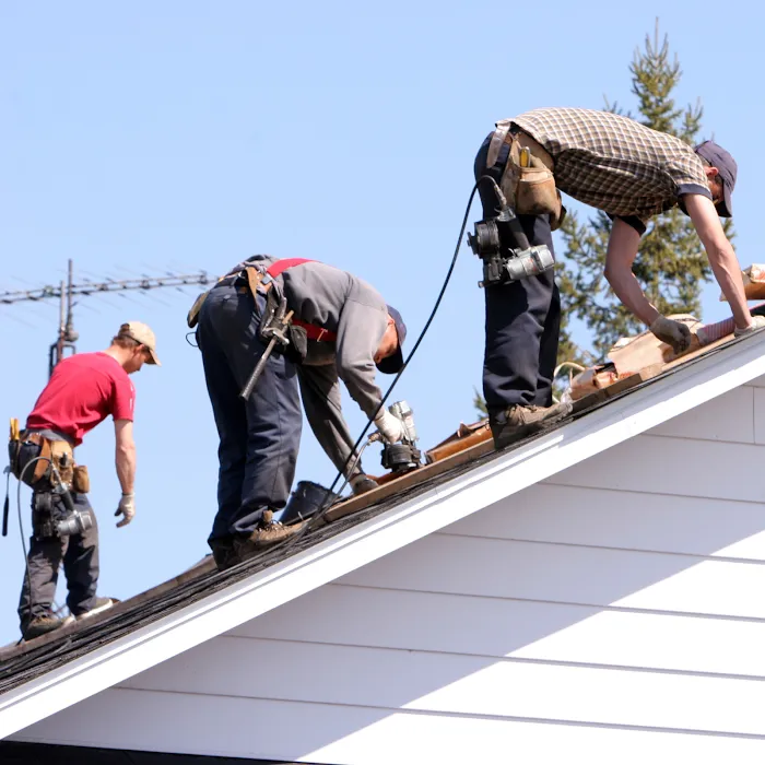 Alpine Roofing Guys Picture 4