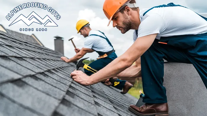 Alpine Roofing Guys Picture 5