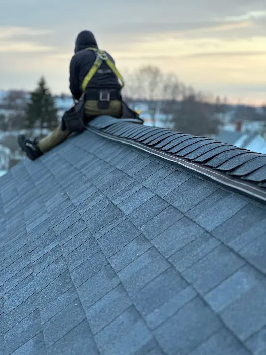 Affordable Roofing / Gutters Picture 1
