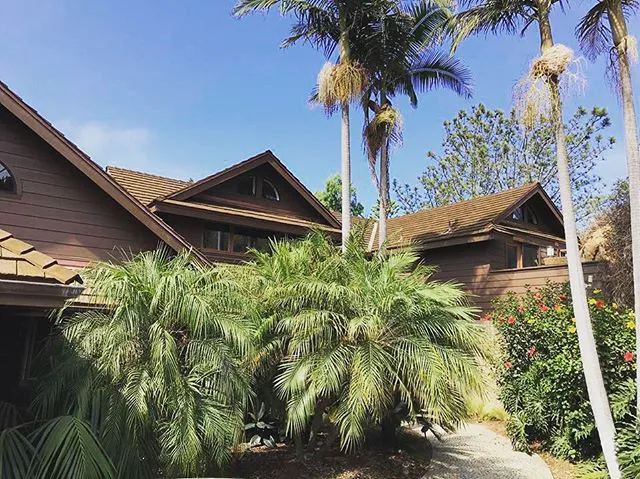 Gen819 Roofing & Solar Picture 8