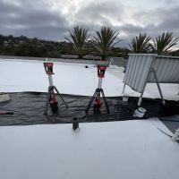 Dachshund Roofing Pro LLC ico