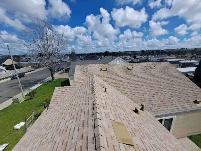 Dachshund Roofing Pro LLC Picture 8