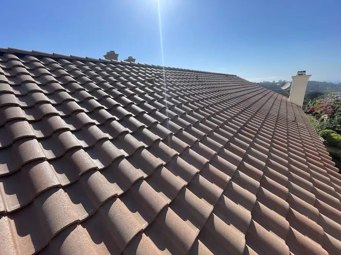 Dachshund Roofing Pro LLC Picture 5