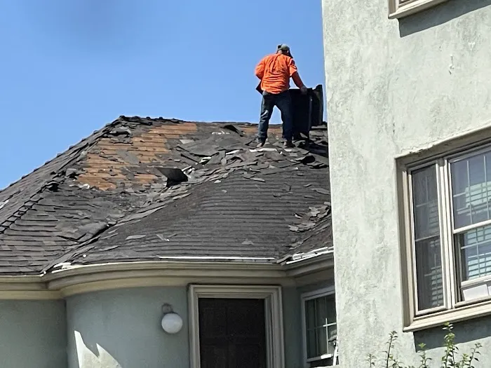 DNA ROOFING Inc Picture 5