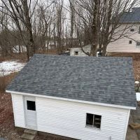 Red Dog's Roofing LLC ico
