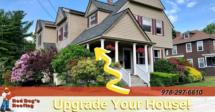 Red Dog's Roofing LLC Picture 8