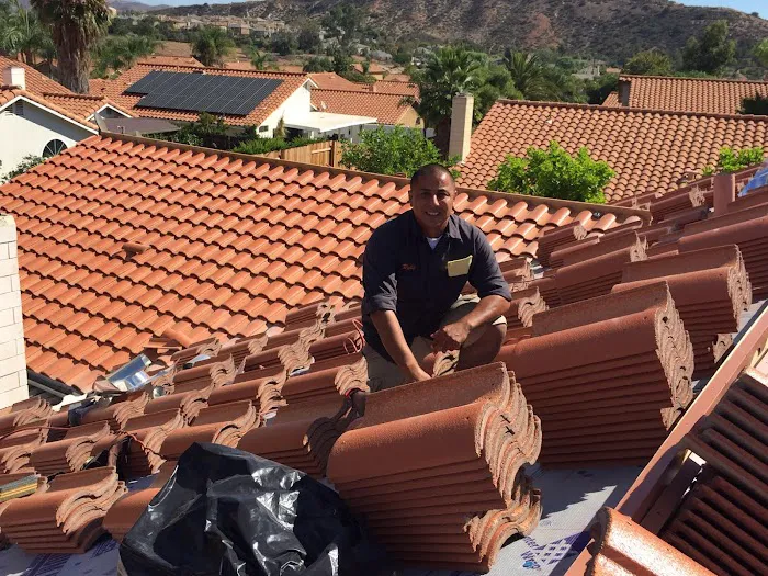 The Roof Masters Picture 2