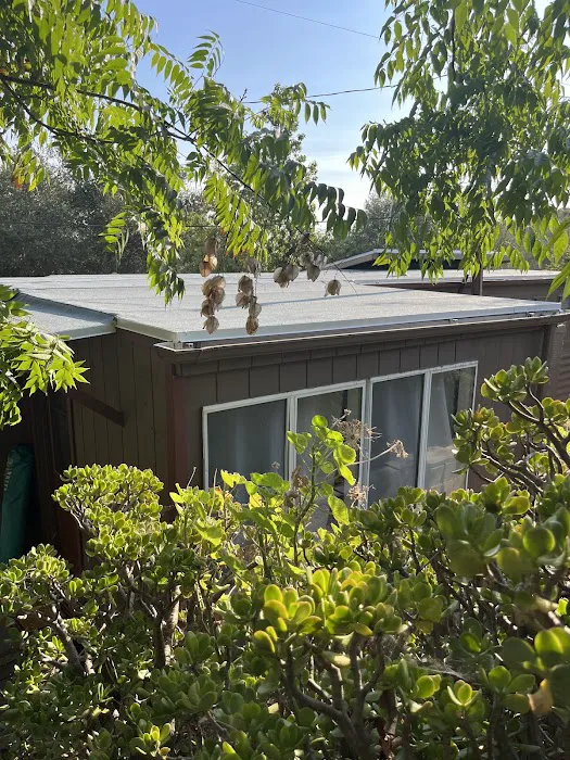 The Roof Masters Picture 4