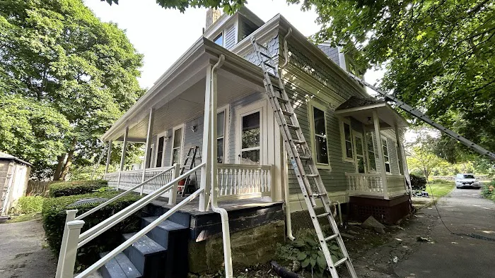 Pro residential painting Picture 4