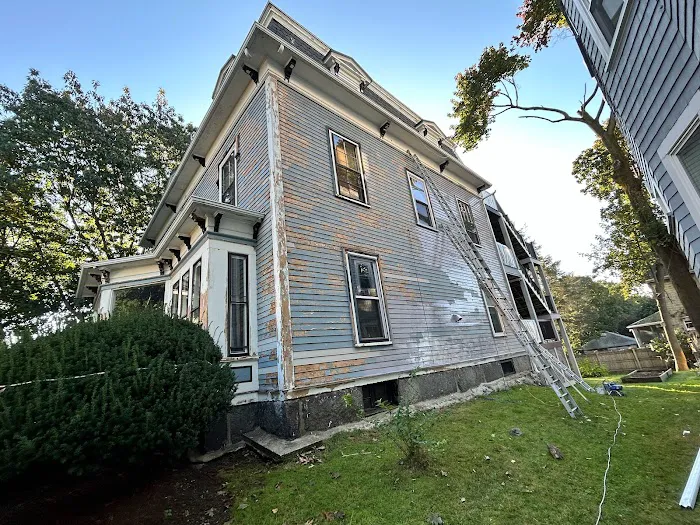 Pro residential painting Picture 7