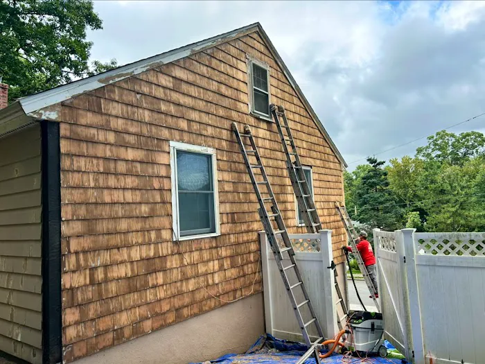 Pro residential painting Picture 9