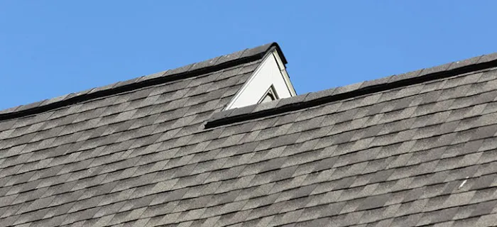 Steele Roofing Picture 1