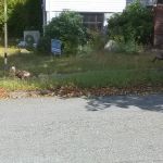 North Shore Builders