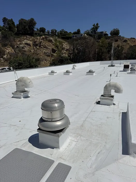 Guardian Roofs Picture 1