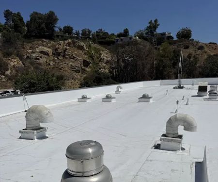 Guardian Roofs