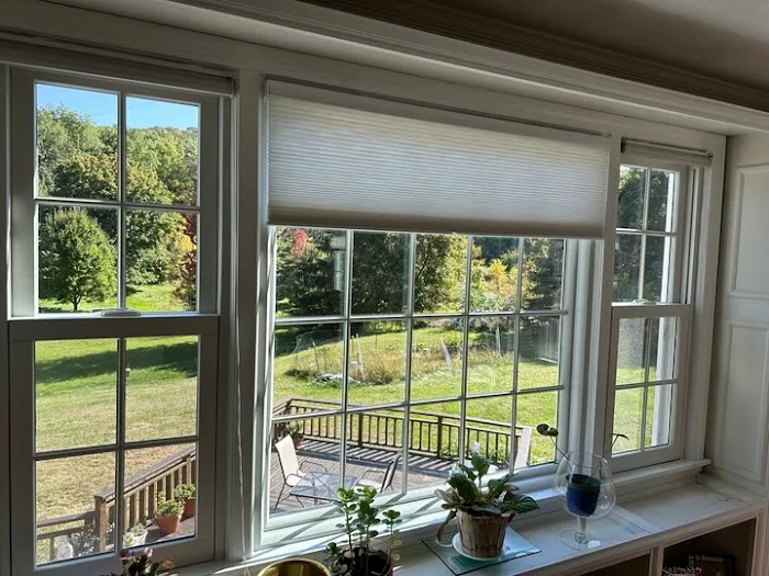 Renewal by Andersen Window Replacement Picture 3