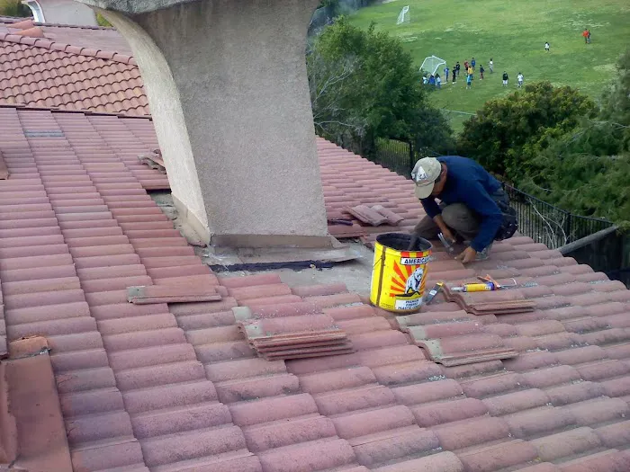 Best professional roofing Picture 4