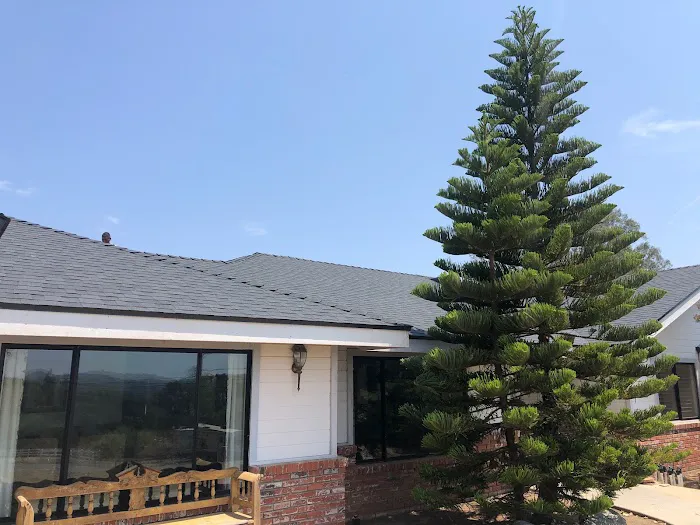 C39 Roofing Picture 5