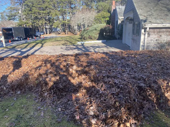 Cape Cod House Calls Picture 2