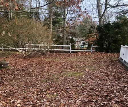 Cape Cod House Calls