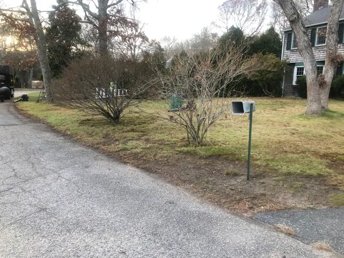 Cape Cod House Calls Picture 6