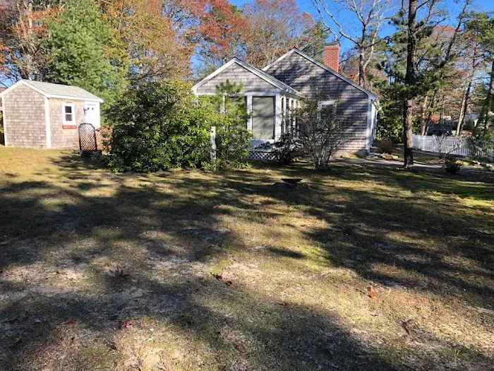 Cape Cod House Calls Picture 8