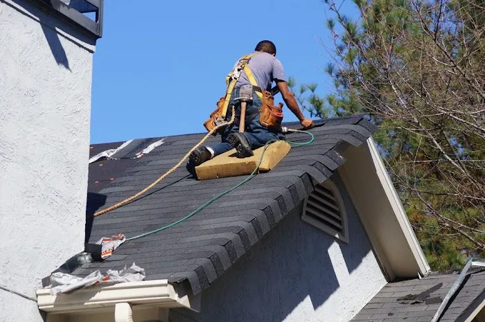 Morning Light Roof Repair Picture 5