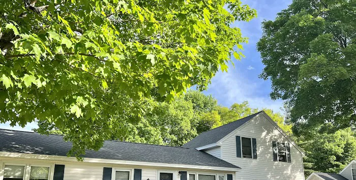 Roofing King Picture 1