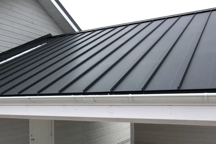 Roof Gorilla Picture 2